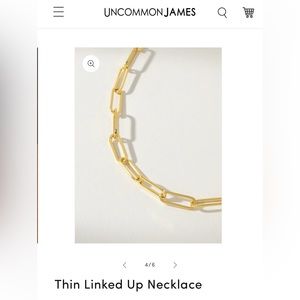 Uncommon James thin Linked Up choker
